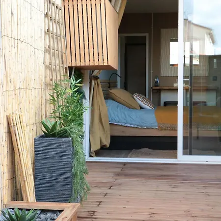 Lejlighed Avec Terrasse Privative Albi