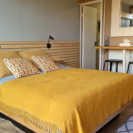 Apartament Avec Terrasse Privative Albi