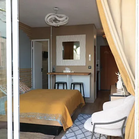 Avec Terrasse Privative Albi