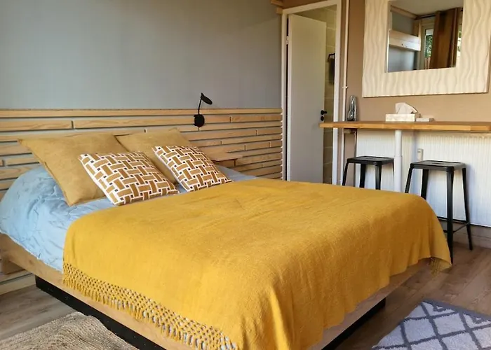 公寓 Avec Terrasse Privative 阿尔比